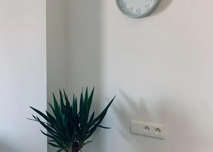 La Revolution * Сет